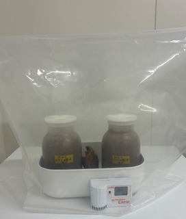 IMG_2323-8e0fe.jpeg