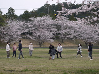 P1260703.JPG