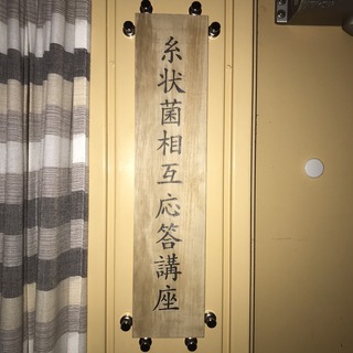 S__901124.jpg