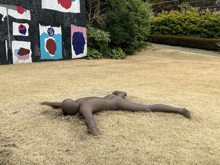 image.jpeg